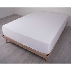 Protège-matelas standard